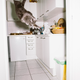 Image for article titled What cats do when we’re not watching